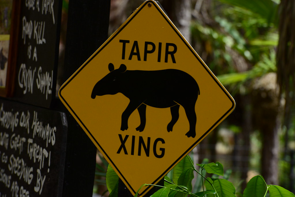 belizezoo-signs5_9315902222_l